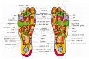 36 Free Printable Foot Reflexology Charts (Word | PDF)