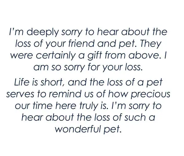 Best Sympathy Words For The Loss Of A Pet Sample Sympatry Notes